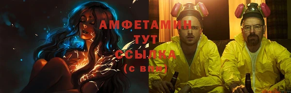 индика Санкт-Петербург