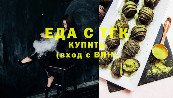 индика Санкт-Петербург