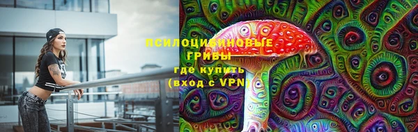 прущая мука Нестеровская