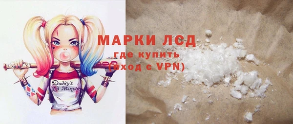 индика Санкт-Петербург