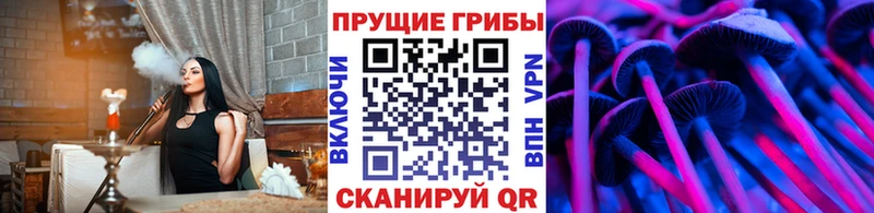 Псилоцибиновые грибы Psilocybe Болохово